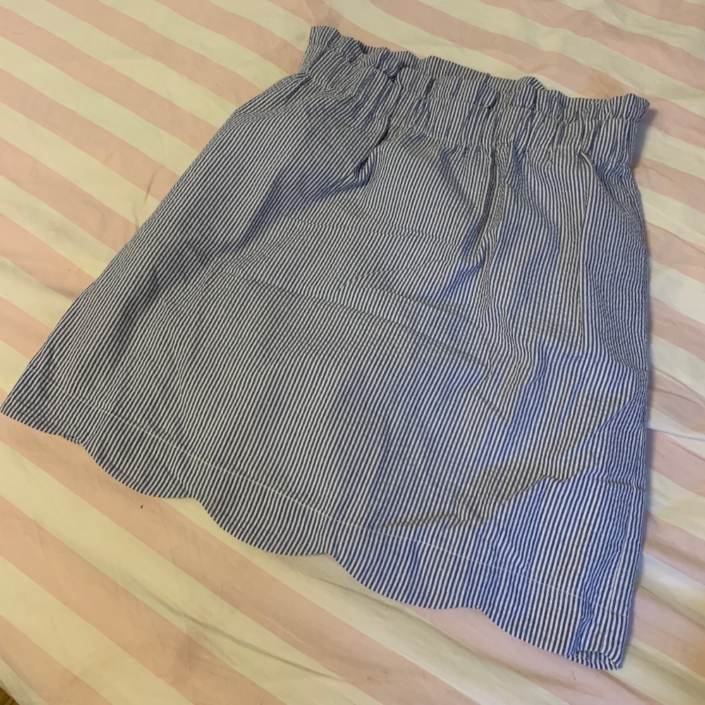 Lauren James Seersucker Skirt